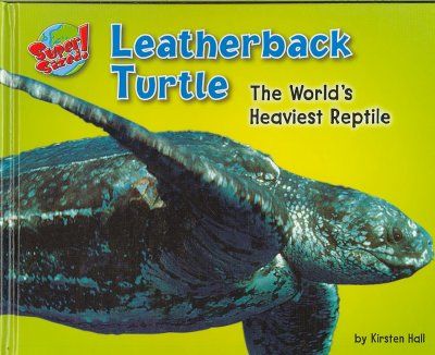 Leatherback Turtleleatherback 