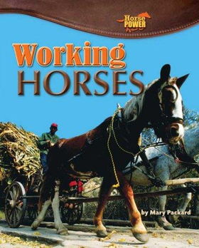 Working Horsesworking 