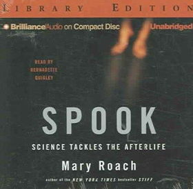 Spookspook 