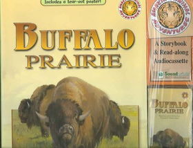 Buffalo Prairiebuffalo 