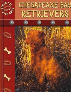 Chesapeake Bay Retrieverchesapeake 
