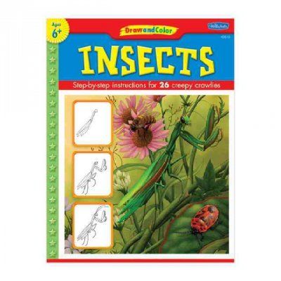 Insectsinsects 