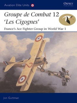Groupe De Combat 12, Les Cigognesgroupe 