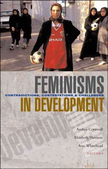 Feminisms in Developmentfeminisms 