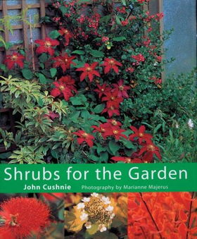 Shrubs For The Gardenshrubs 