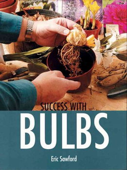 Success With Bulbssuccess 