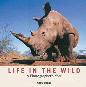 Life In The Wildlife 