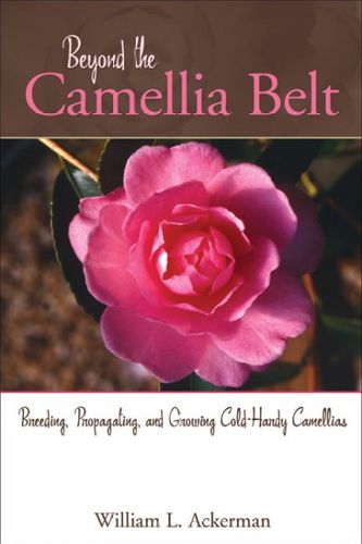 Beyond the Camellia Beltbeyond 