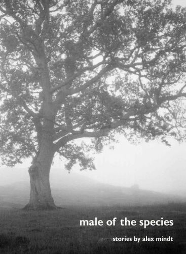 Male of the Speciesmale 