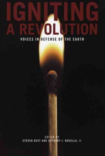 Igniting a Revolutionigniting 