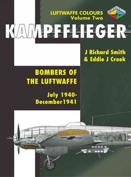 Kampffliegerkampfflieger 