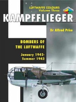 Kampffliegerkampfflieger 