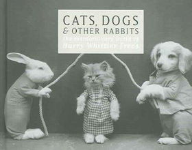 Cats, Dogs & Other Rabbitscats 