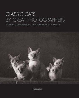 Classic Cats By Great Photographersclassic 