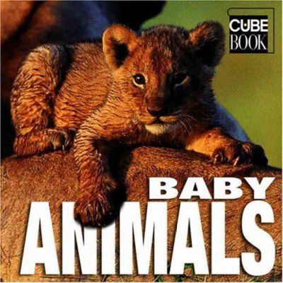 Baby Animalsbaby 