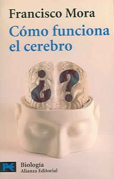 Como Funciona El Cerebro