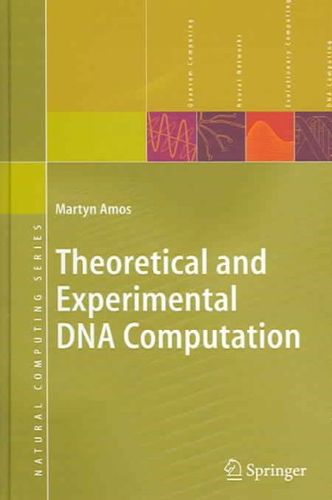 Theoretical and Experimental DNA Computationtheoretical 