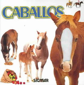 Caballos / Horsescaballos 