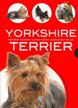 Yorkshire Terrier / Yorkshire Terrieryorkshire 