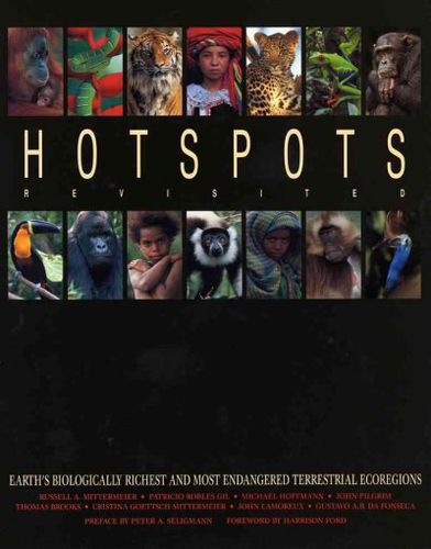Hotspots Revisitedhotspots 