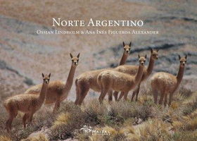 Norte Argentino / Northern Argentinanorte 