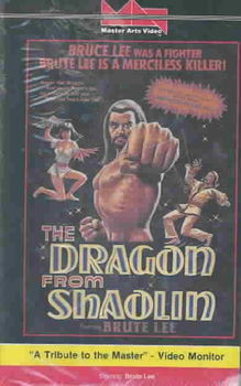 DRAGON FROM SHAOLINdragon 
