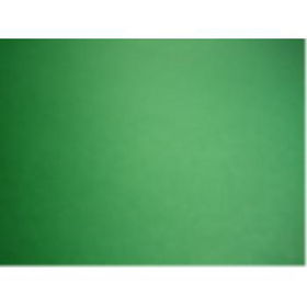 POSTERBOARD - DARK GREEN - 22"" x 28"" Case Pack 50