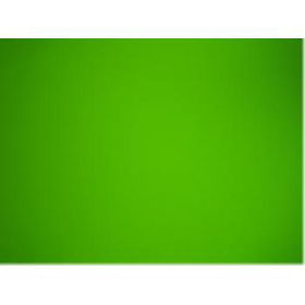 POSTERBOARD - NEON - GREEN - 22" X 28" Case Pack 25
