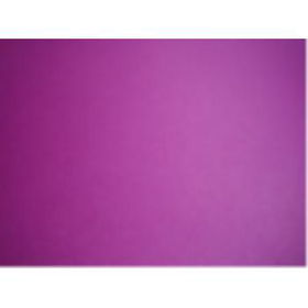 POSTERBOARD - MAGENTA - 22"" X 28"" Case Pack 50posterboard 