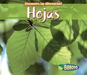 Hojas / Leaveshojas 