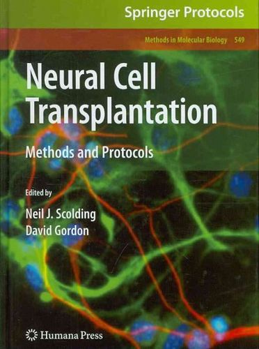 Neural Cell Transplantationneural 