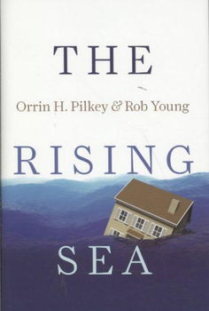 The Rising Searising 