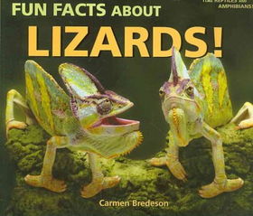 Fun Facts About Lizards!fun 