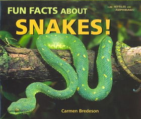 Fun Facts About Snakes!fun 