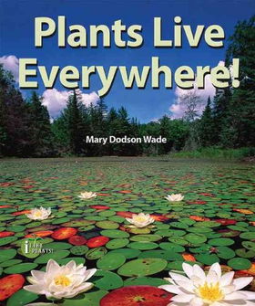 Plants Live Everywhere!plants 