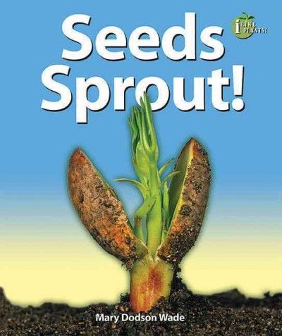 Seeds Sprout!seeds 