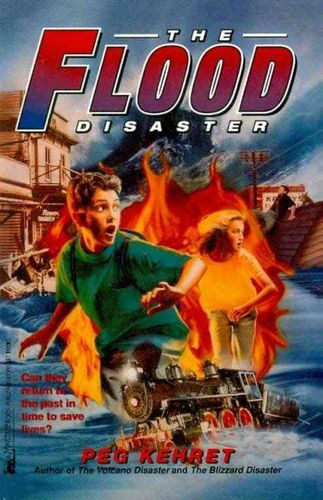 The Flood Disasterflood 