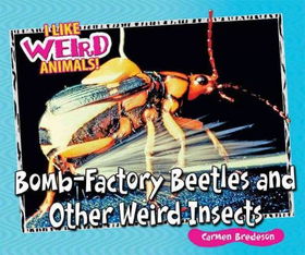 Bomb-Factory Beetles and Other Weird Insectsbomb 
