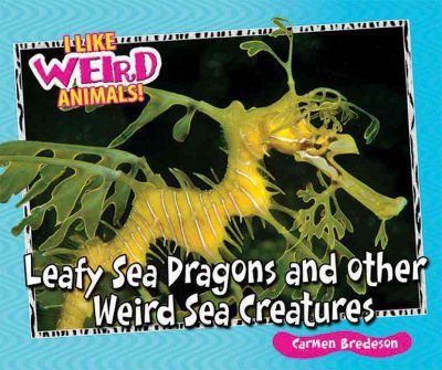 Leafy Sea Dragons and Other Weird Sea Creaturesleafy 