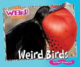 Weird Birdsweird 
