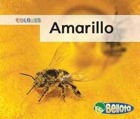 Amarillo / Yellowamarillo 