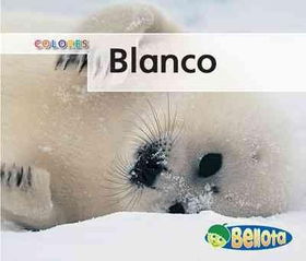 Blanco / Whiteblanco 