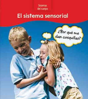 El sistema sensorial / The Sensory Systemsistema 