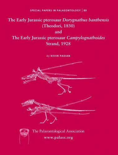 The Early Jurassic Pterosaur Dorygnathus Banthenis (Theodori, 1830) and The Early Jurassic Pterosaur Campylognathoides Strand, 1928early 