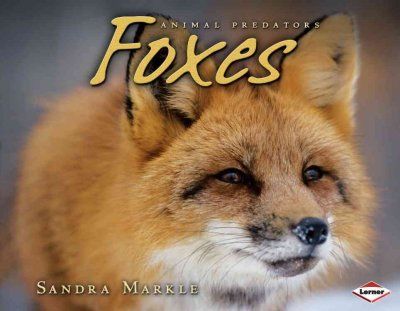Foxesfoxes 