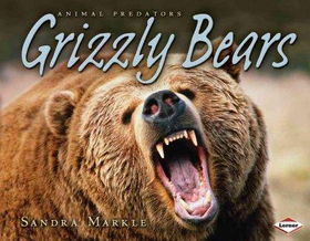 Grizzly Bearsgrizzly 