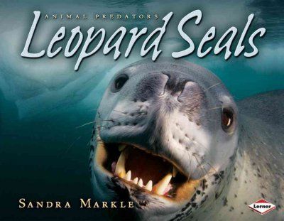 Leopard Sealsleopard 
