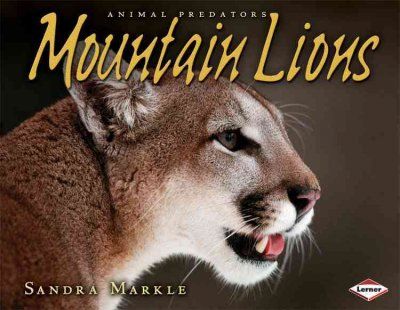 Mountain Lionsmountain 