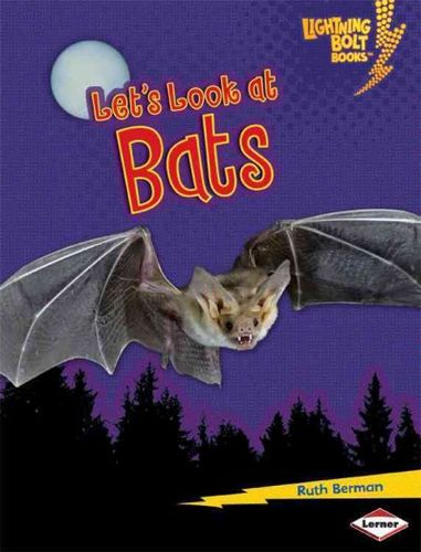 Let's Look at Batsbats 