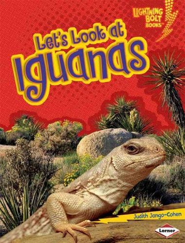 Let's Look at Iguanasiguanas 
